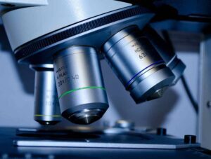 Avances tecnológicos, logros genéticos y visibilidad social dan impulso a las técnicas de reproducci...