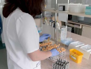 ¿Qué es el Diagnóstico Genético Preimplantacional?
